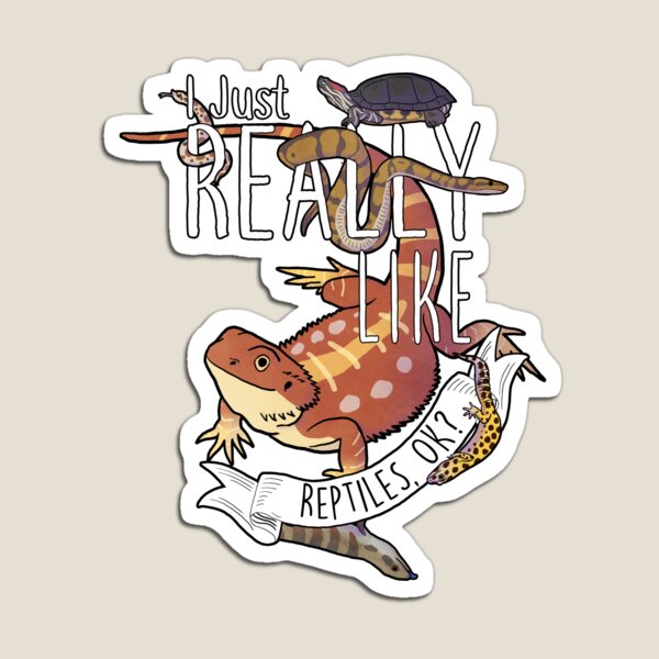 I Just Really Like Reptiles, OK? Magnet