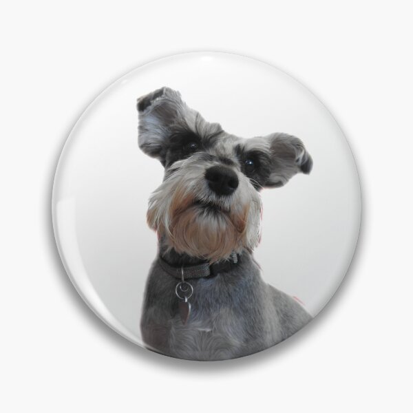 Item preview, cute gray Schnauzer dog designed and sold by Stephanie  Skeem.