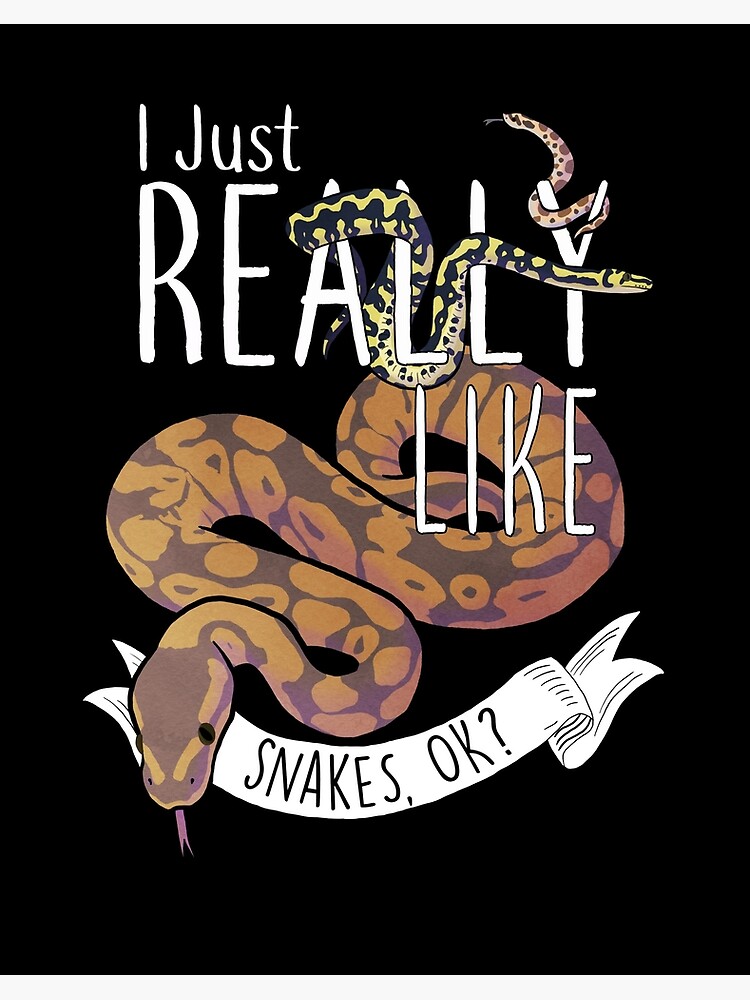 I Just Really Like Snakes Ok? - Funny Snake T-Shirt I Just Really Like Snakes Ok? - Funny Snake T-Shirt