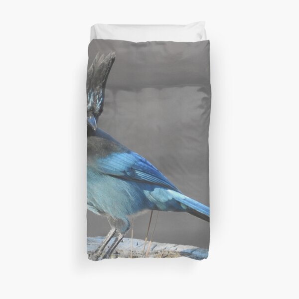 Wild birds, Stellar's Jay, wildlife, blue jay Duvet Cover