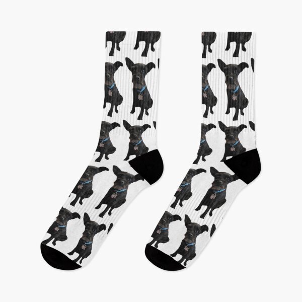 Item preview, cute black Schnauzer dog designed and sold by Stephanie  Skeem.