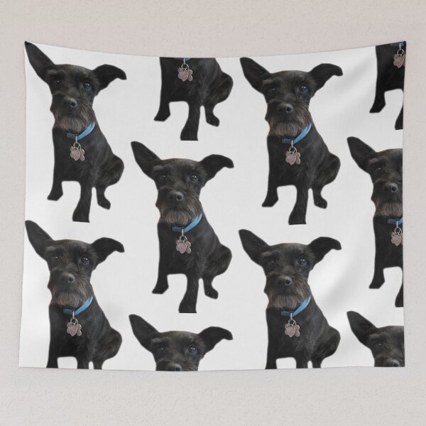 Item preview, cute black Schnauzer dog designed and sold by Stephanie  Skeem.