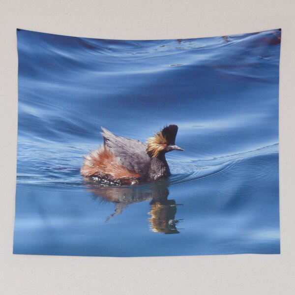 Item preview, Wild birds, wildlife, nature, Spectacular Grebe, grebes designed and sold by Sandra O'Toole.
