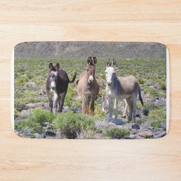 Item preview, Wild burros, donkeys, wildlife, Nevada, Treasures of Marietta designed and sold by Sandra O'Toole.