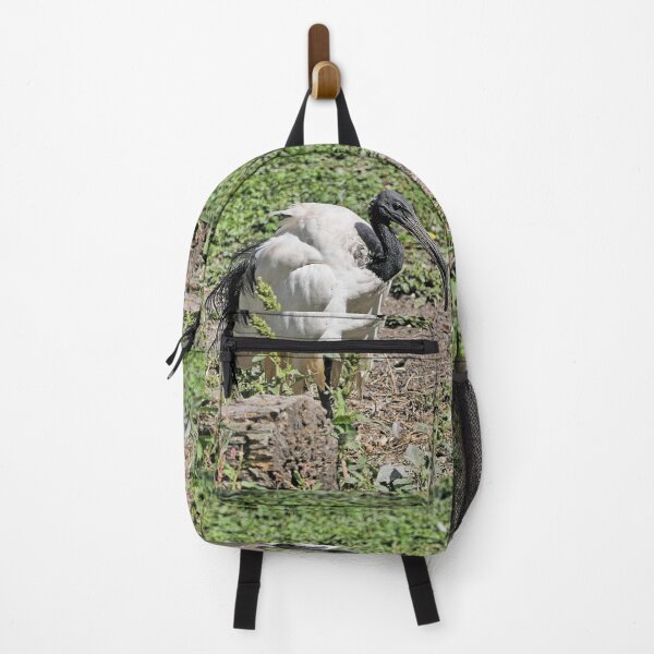 Item preview, r2453/ 7 parc-ornithologique-de-st-hilaire-la-palud - L' Ibis sacré - 2020 par Okaio Créations - Olavia&Olao designed and sold by o.okaïo.