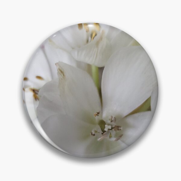 Item preview, Star of Bethlehem designed and sold by Diane Petker.