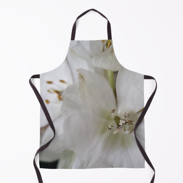 Item preview, Star of Bethlehem designed and sold by Diane Petker.