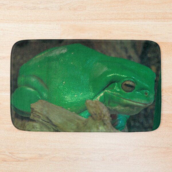 Item preview, Green Tree Frog at the Melbourne Zoo designed and sold by Steven Jodoin.