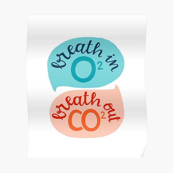 C02 Posters Redbubble