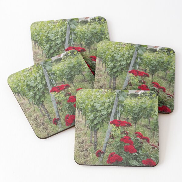 Item preview, Red roses in the vineyard designed and sold by wineandwords.
