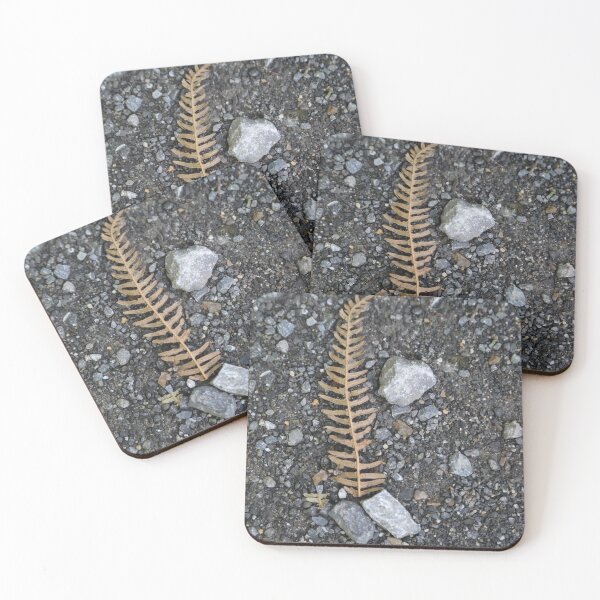 Item preview, Fern and stone, nature photo designed and sold by Stéphane  Thirion.