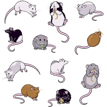 Artwork thumbnail, Rats, Rats, Rats by rachelka