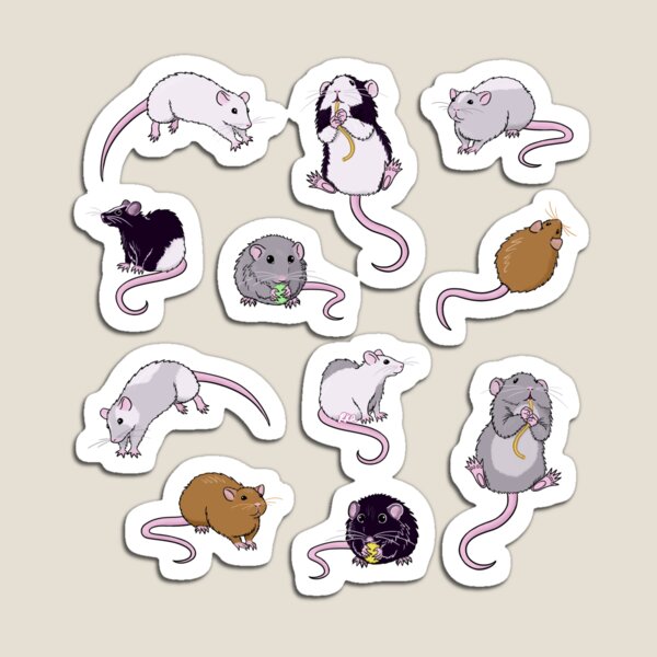 Rats, Rats, Rats Magnet