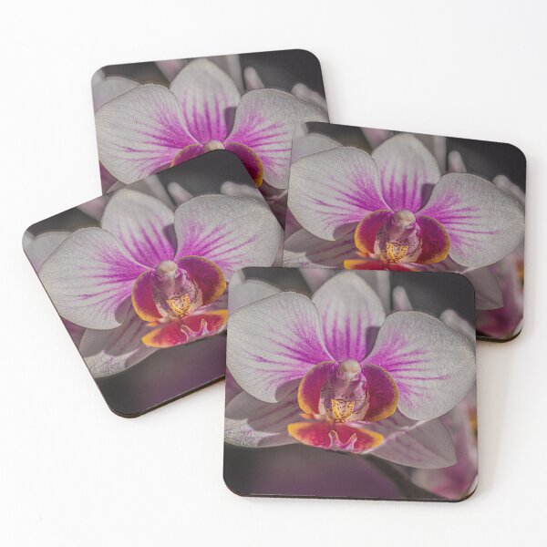 Artikelvorschau, Aus der Orchidee entworfen und verkauft von tonysphotospot.