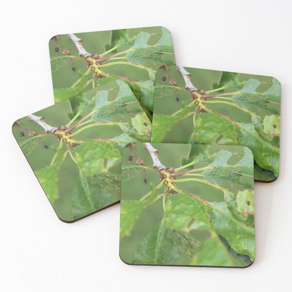 Item preview, Apple tree leaves designed and sold by Bobtherandomcat.