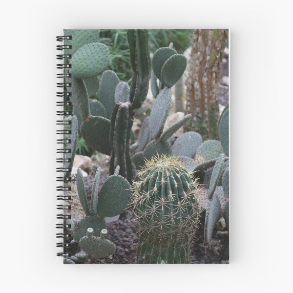 Item preview, Cactus interior decoration designed and sold by Stéphane  Thirion.
