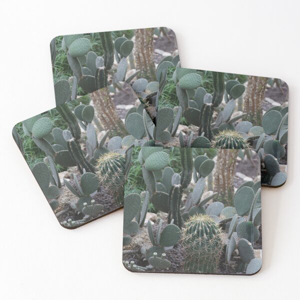 Item preview, Cactus interior decoration designed and sold by Stéphane  Thirion.