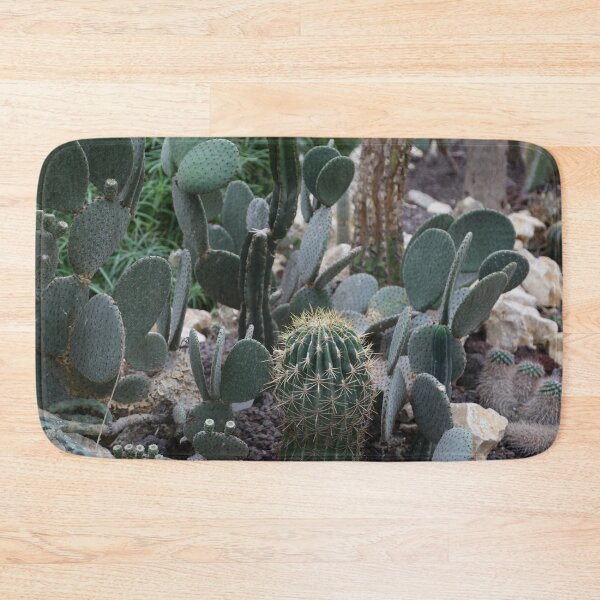Item preview, Cactus interior decoration designed and sold by Stéphane  Thirion.
