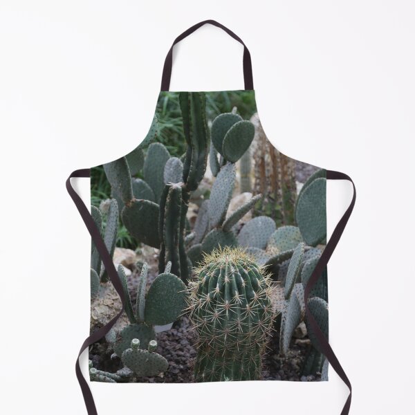 Item preview, Cactus interior decoration designed and sold by Stéphane Thirion.