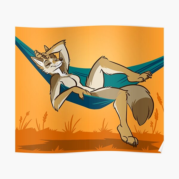 Coyote In A Hammock Poster