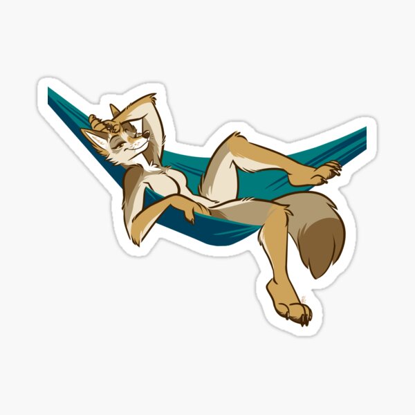 Coyote In A Hammock Sticker