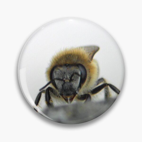 Item preview, ©NS Morning Bee IIA. designed and sold by OmarHernandez.