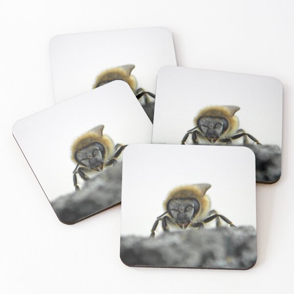 Item preview, ©NS Morning Bee IIA. designed and sold by OmarHernandez.