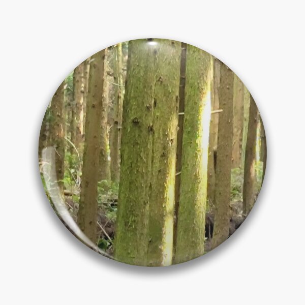 Item preview, Cedar trees at Samdasoo Forest Road, Jeju Island, Korea. designed and sold by human8891.