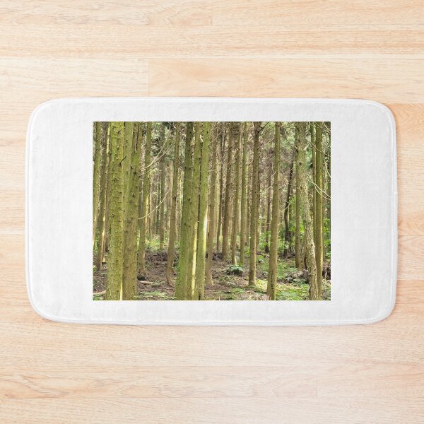 Item preview, Cedar trees at Samdasoo Forest Road, Jeju Island, Korea. designed and sold by human8891.
