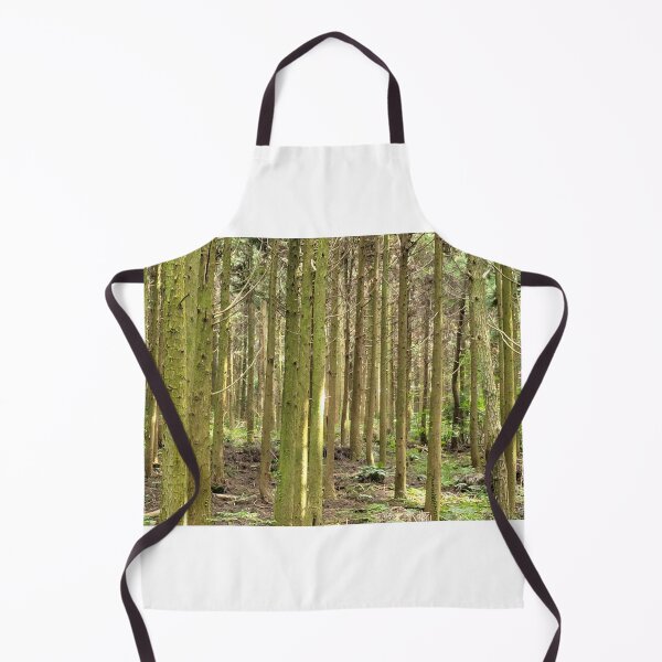 Item preview, Cedar trees at Samdasoo Forest Road, Jeju Island, Korea. designed and sold by human8891.