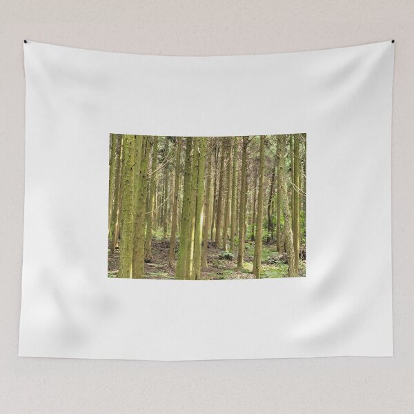 Item preview, Cedar trees at Samdasoo Forest Road, Jeju Island, Korea. designed and sold by human8891.