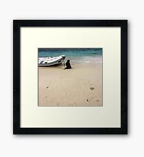 Bonaire Framed Print
