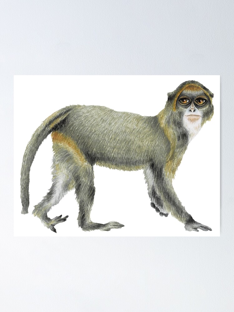 solol sakura NATURAL MOUNTAIN MONKEYSコラボ solol sakura NATURAL MOUNTAIN MONKEYSコラボ