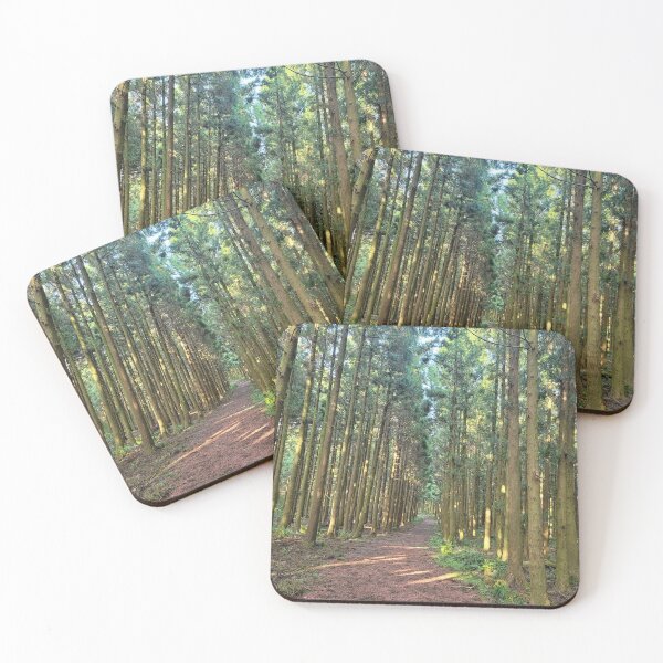 Item preview,  Samdasoo Forest Road, Jeju Island, Korea. designed and sold by human8891.
