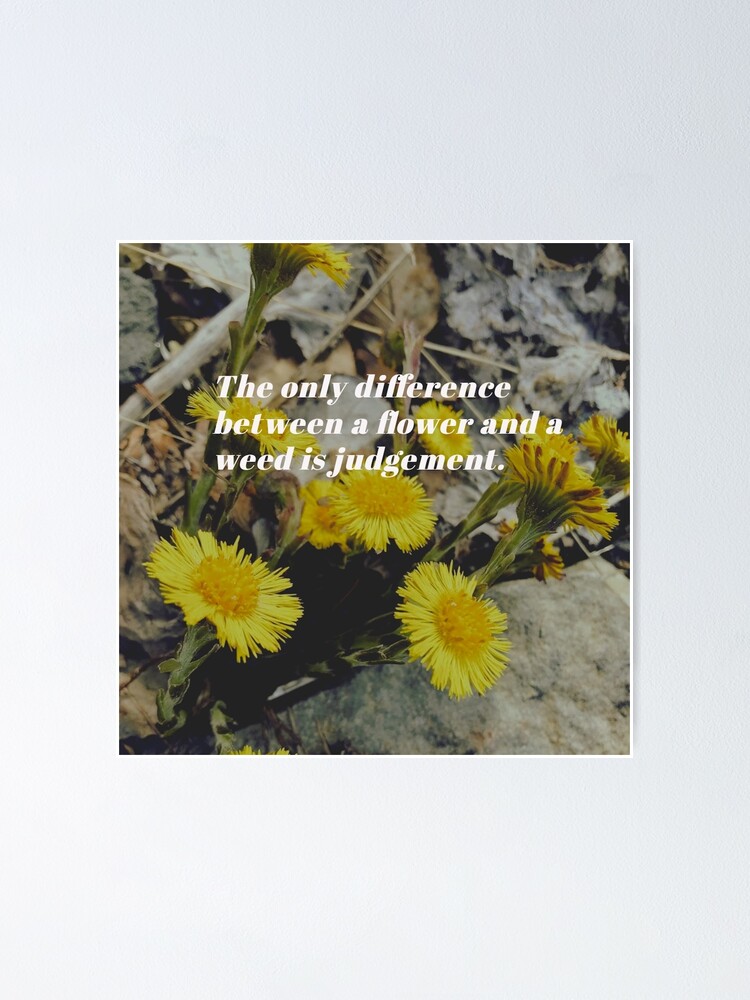 "the only difference between a flower and a weed is judgement" Poster