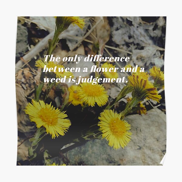 "the only difference between a flower and a weed is judgement" Poster