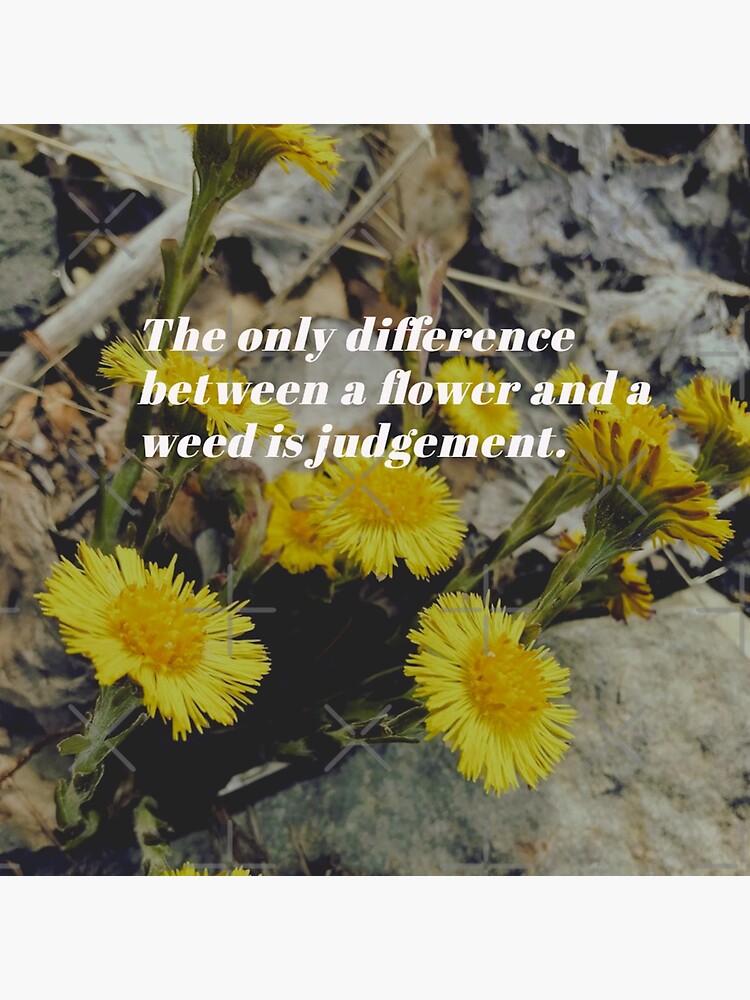 "the only difference between a flower and a weed is judgement" Sticker