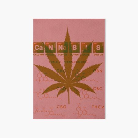 Monkey Graffiti Street joint Cannabis weed ganga dope Canvas Art Picture Print Monkey Graffiti Street joint Cannabis weed ganga dope Canvas Art Picture Print