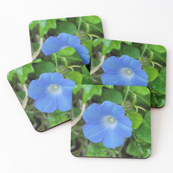 Item preview, Weeds and Wildflowers at Citrus Farm, Jeju Island, Korea. designed and sold by human8891.