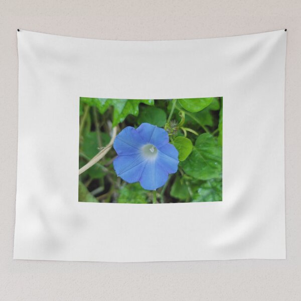 Item preview, Weeds and Wildflowers at Citrus Farm, Jeju Island, Korea. designed and sold by human8891.