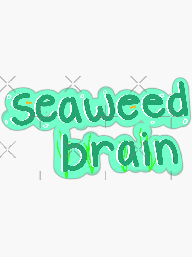 Seaweed Brain Sticker For Sale By Katienacho Redbubble 