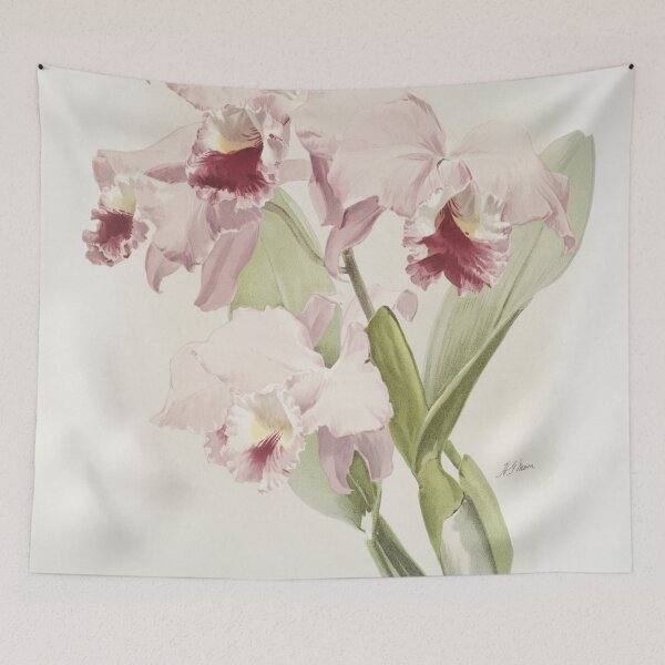 Item preview, Reichenbachia: Orchids Illustrated and Described designed and sold by EsotericBotanic.