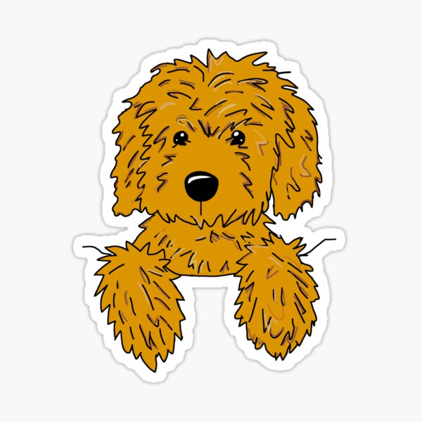 mini goldendoodle accessories