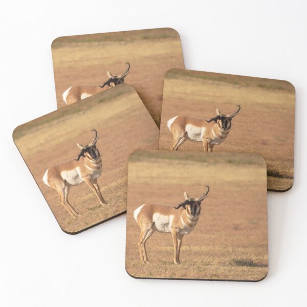 Item preview, Pronghorn designed and sold by Jarrett720.