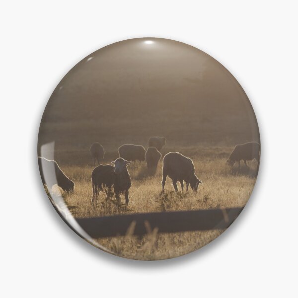 Item preview, Grazing Sheep at Sunrise designed and sold by fotosic.