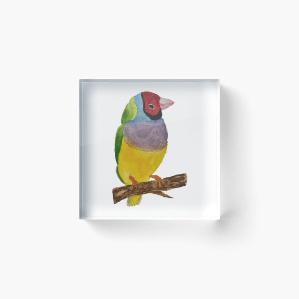Item preview, Gouldian Finch  designed and sold by Tessa Bryden.