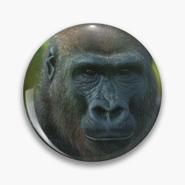 Item preview, The One And Only Gorilla Lope designed and sold by rawshutterbug.