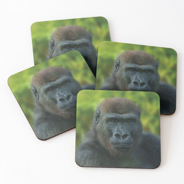 Item preview, The One And Only Gorilla Lope designed and sold by rawshutterbug.