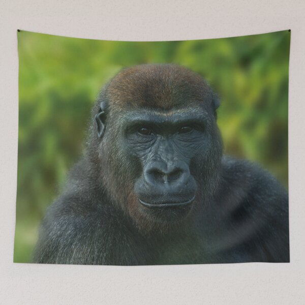Item preview, The One And Only Gorilla Lope designed and sold by rawshutterbug.