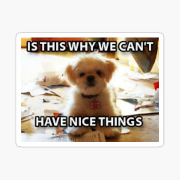 Why We Cant Have Nice Things Gifts & Merchandise Redbubble